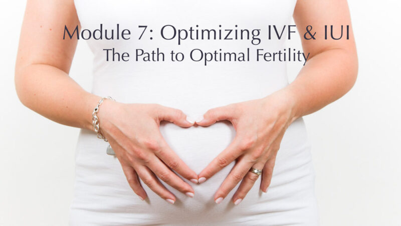 Module Optimizing Ivf Iui The Path To Optimal Fertility Margo